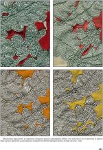 Вермахт. Армия. Облик.